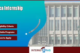 SPEA Internship