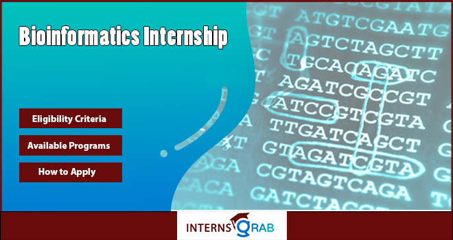 Bioinformatics Internship | Explore the Best Programs in the USA 
